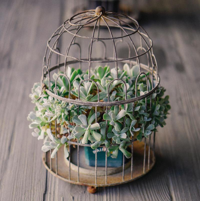 Décoration de table cage à oiseaux pour votre mariage en Normandie