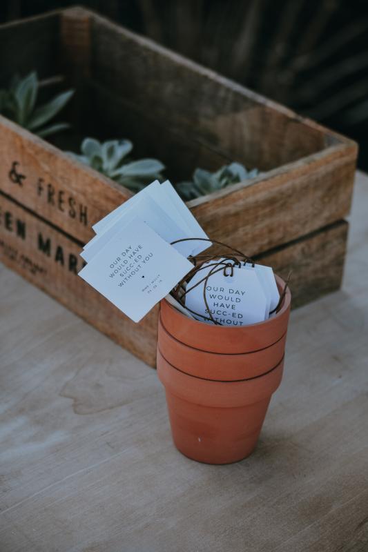 Mariage en Normandie - photographie de petites plantes avec des petits mots en guise de cadeaux d'invités pour un mariage 