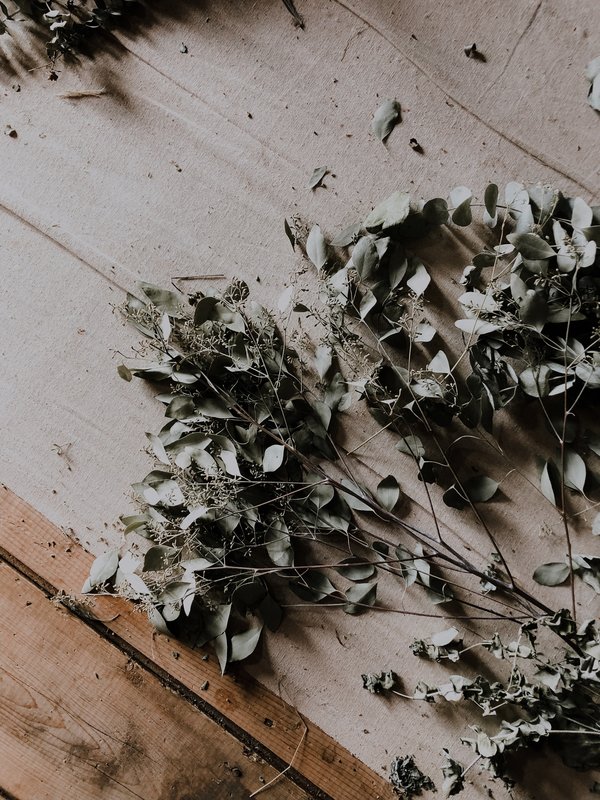 LES FLEURS séchées pour votre mariage en normandie 