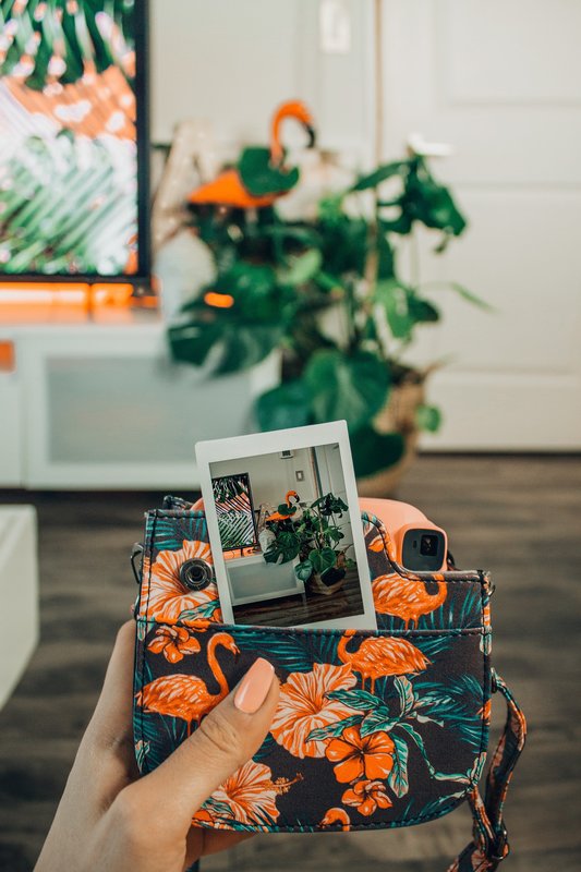 Une photographie pour un mariage tropical et exotique avec les couleurs à définir, comme du rouge, du orange et du vert dans les tendances 2020 ou 2021