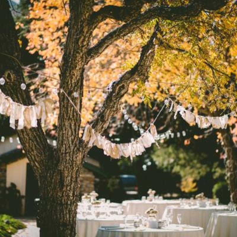 Top 10 des raisons pour se marier en automne - Vos prestataires pour un mariage réussi !