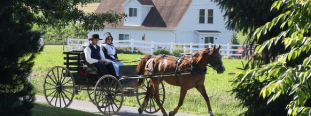 rencontre amish