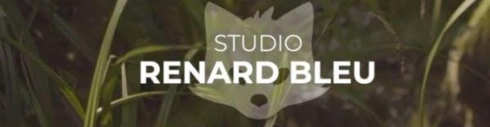Envie d'une vidéo qui retrace toute votre cérémonie de mariage : le Studio Renard Bleu est lÃ  pour exaucer votre souhait !
