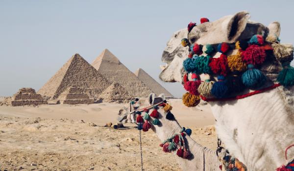 Mariage et tradition : Un mariage Egyptien 