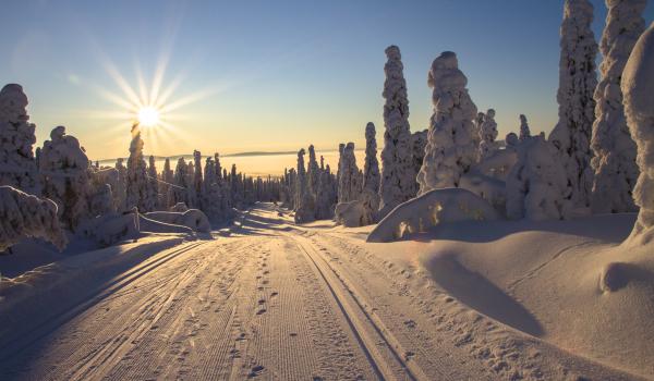 Un mariage en Laponie, au pays du Père Noël !