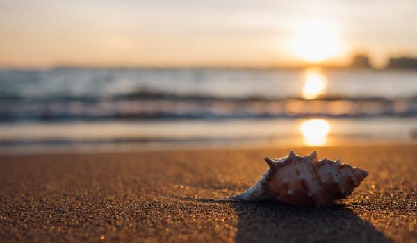 6 éléments pour un mariage sur le thème de la mer 