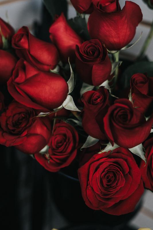 bouquet de roses rouges pour la saint valentin