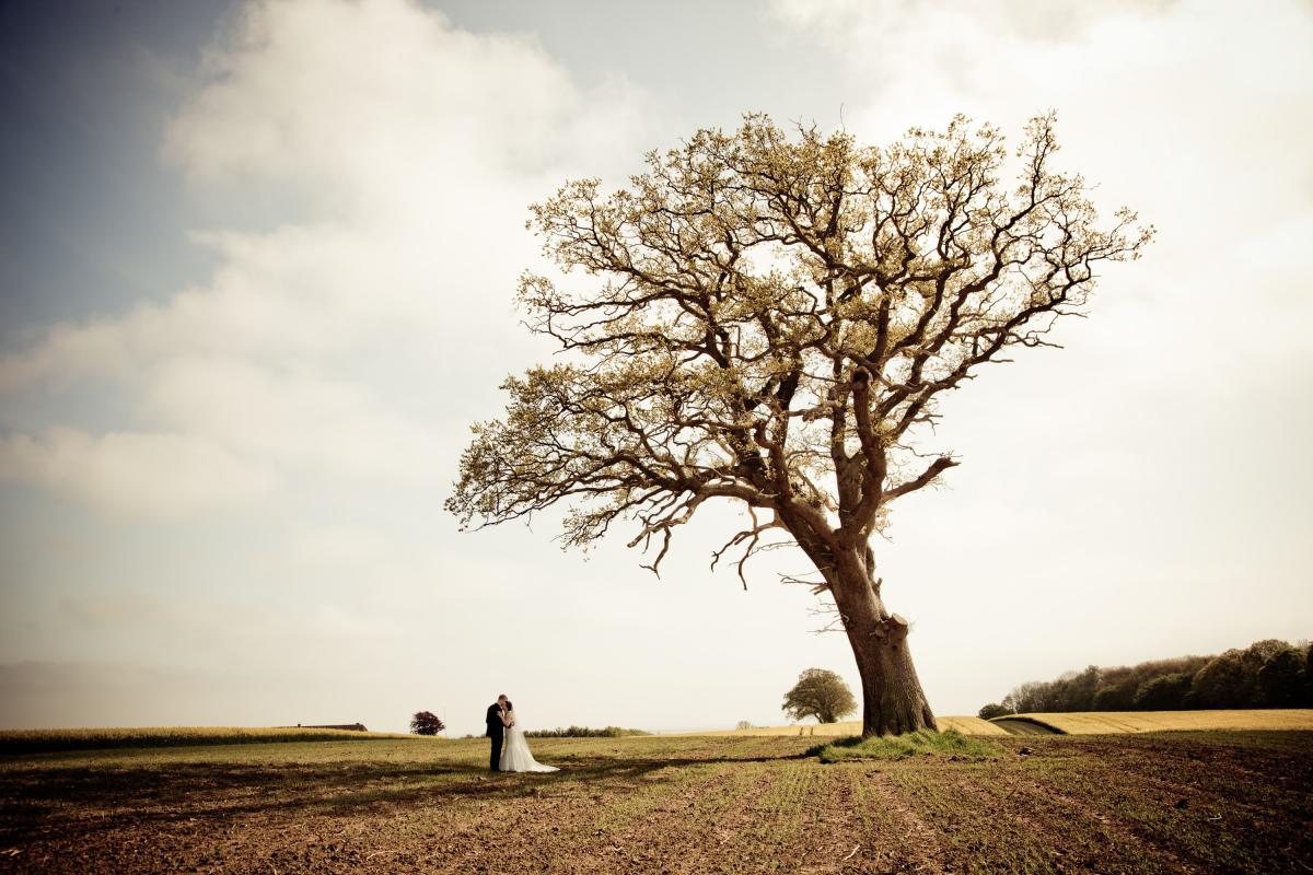 Mariage en Normandie - photographie d'un couple de mariés dans un champ automnal