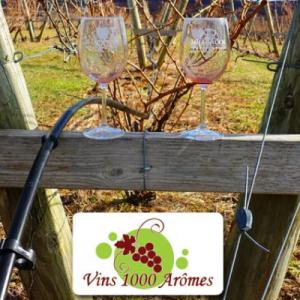 Vins 1000 arômes est caviste pour votre mariage en Basse Normandie - Mariage en Normandie Vins 1000 arômes est caviste pour votre mariage en Basse Normandie - Mariage en Normandie