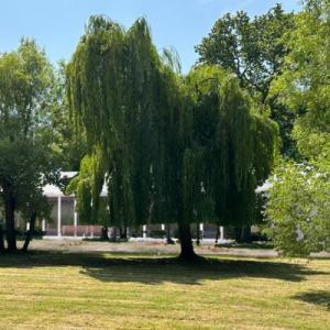 Le parc arboré avec la future orangerie - Domaine de la Balanderie - Lieu de réception pour votre mariage en Normandie - Mariage en Normandie Le parc arboré avec la future orangerie - Domaine de la Balanderie - Lieu de réception pour votre mariage en Normandie - Mariage en Normandie