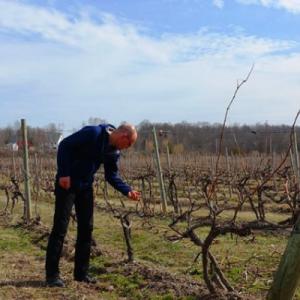 Vins 1000 arômes est caviste pour votre mariage en Basse Normandie - Mariage en Normandie Vins 1000 arômes est caviste pour votre mariage en Basse Normandie - Mariage en Normandie