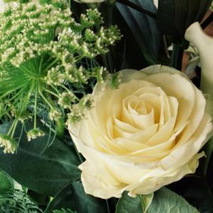 NVS AMOUR ÉTERNEL - WEDDING PLANNER & DESIGNER (HAUTE NORMANDIE) - Mariage en Normandie NVS AMOUR ÉTERNEL - WEDDING PLANNER & DESIGNER (HAUTE NORMANDIE) - Mariage en Normandie