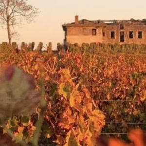 Les vignobles Bayle-Carreau - Vins pour votre mariage avec 150 ans d’histoire avec la Normandie - Mariage en Normandie Les vignobles Bayle-Carreau - Vins pour votre mariage avec 150 ans d’histoire avec la Normandie - Mariage en Normandie
