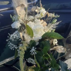 COBService - Découvrez Annie, femme cochère professionnelle et ses deux cobs normands pour une arrivée en calèche lors de votre mariage en Normandie ! - Mariage en Normandie COBService - Découvrez Annie, femme cochère professionnelle et ses deux cobs normands pour une arrivée en calèche lors de votre mariage en Normandie ! - Mariage en Normandie