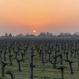Les vignobles Bayle-Carreau - Vins pour votre mariage avec 150 ans d’histoire avec la Normandie - Mariage en Normandie Les vignobles Bayle-Carreau - Vins pour votre mariage avec 150 ans d’histoire avec la Normandie - Mariage en Normandie