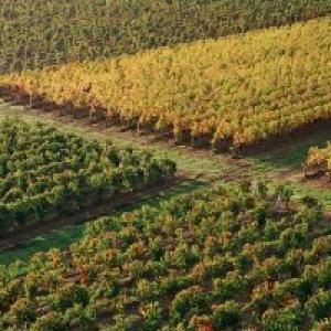 Vins pour votre mariage en Normandie avec 150 ans d’histoire avec la Normandie - Mariage en Normandie Vins pour votre mariage en Normandie avec 150 ans d’histoire avec la Normandie - Mariage en Normandie