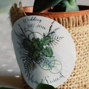 NVS Amour Eternel - photographie de mariage en normandie - Mariage en Normandie NVS Amour Eternel - photographie de mariage en normandie - Mariage en Normandie