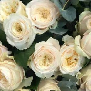 Bouquet de roses l'atelier floral troarn en normandie pour votre mariage - Mariage en Normandie Bouquet de roses l'atelier floral troarn en normandie pour votre mariage - Mariage en Normandie