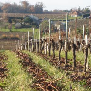 Vins pour votre mariage en Normandie avec 150 ans d’histoire avec la Normandie - Mariage en Normandie Vins pour votre mariage en Normandie avec 150 ans d’histoire avec la Normandie - Mariage en Normandie